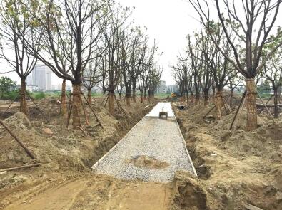 百姓生活 - 扬州要闻